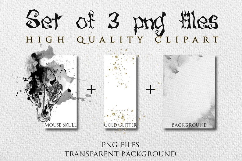 Creepy Mouse Skull Clipart Field Mouse Skull Art PNG Rat Etsy