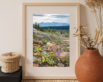 Yosemite Wildflower Landscape Photo Print: Tuolumne Meadows, Tioga Pass
