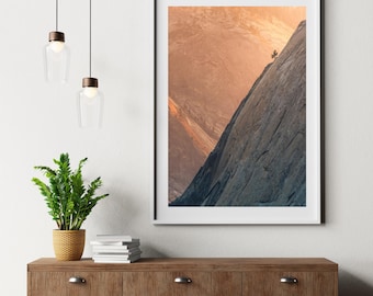 Fine Art Print of a Lonely Pine Tree in Tenaya Canyon, Yosemite Valley