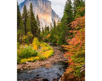 Yosemite Valley Fall Colors Print: El Capitan & Merced River