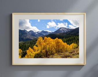Eastern Sierra Fall Foliage Print | Quaking Aspens, Leavitt Peak Landscape (Canvas or Paper)