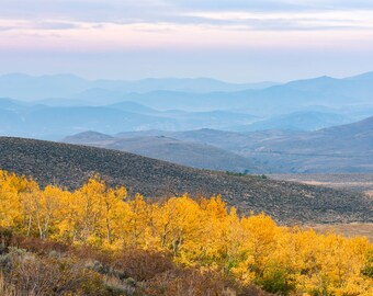Bridgeport Valley Fall Aspen Trees Print: Eastern Sierra Landscape