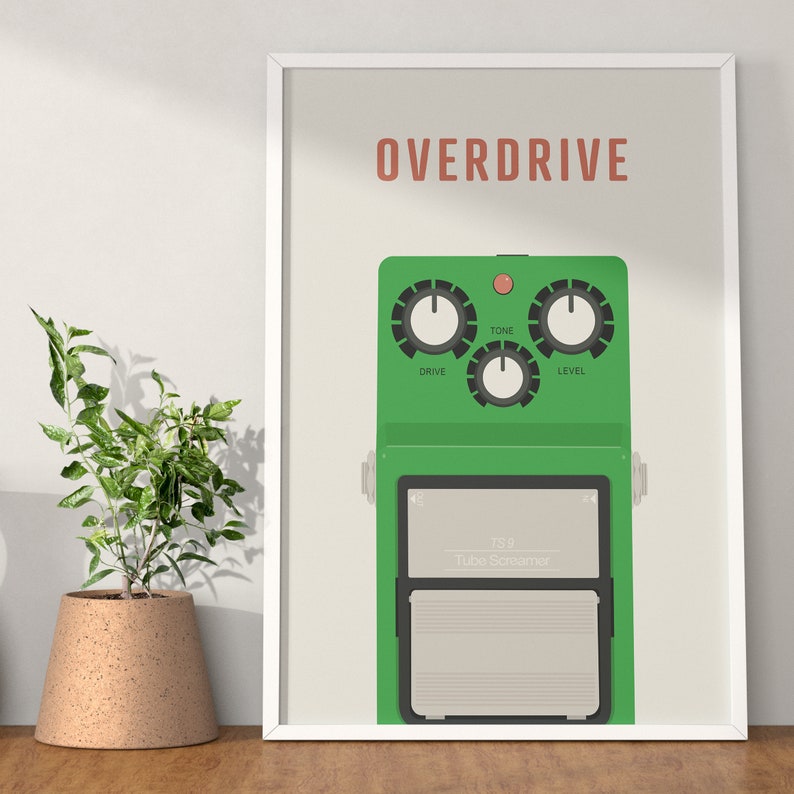 Pu&ograve; includere: Un pedale per chitarra overdrive verde con il testo "TS9 Tube Screamer" e manopole etichettate "Drive", "Tone" e "Level".