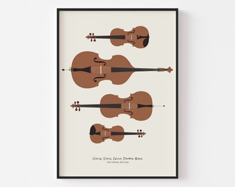 May include: A framed print featuring illustrations of string instruments: violin, viola, cello, and double bass. The instruments are brown against a cream background. Text at the bottom reads "Violin, Viola, Cello, Double Bass" and "The String Section."