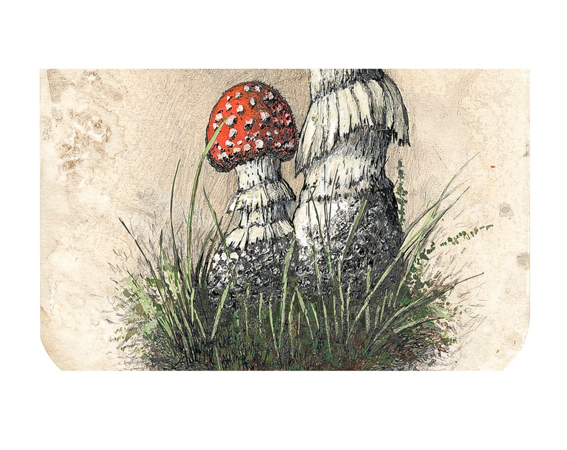 Alice in wonderland Mushroom wall art Mushroom original | Etsy
