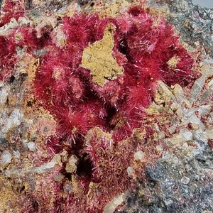 Erythrite Fibers - Bou Azzer, Morocco - 8×8×3.5 cm