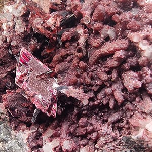 Puede incluir: Primer plano de un espécimen mineral que presenta un grupo de cristales de color rojo intenso y una matriz de roca gris y blanca. Los cristales tienen un brillo vibrante, casi metálico, que contrasta con la textura más áspera de la piedra circundante. La apariencia general es rugosa y natural.