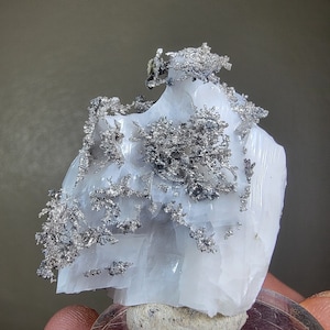 Puede incluir: Un espécimen mineral blanco con un cúmulo de cristales de color plateado en la parte superior. El espécimen está sobre un pequeño soporte redondo y transparente.