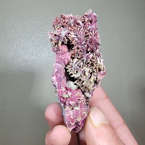 Erythrite with Quartz - Bou Azzer, Morocco - 8×7.5×3 cm