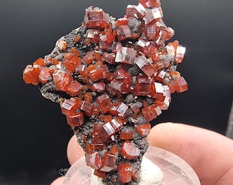 May include: A cluster of vibrant, reddish-orange vanadinite crystals. The crystals are cubic and densely packed on a dark, porous matrix. The mineral specimen is mounted on a clear, round base.