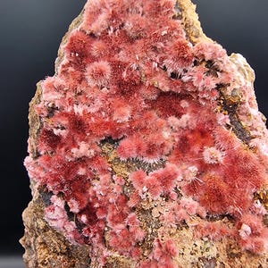 Erythrite Fibers – Bou Azzer, Morocco – Rare Pink Crystal Formation – 7×5×4 cm