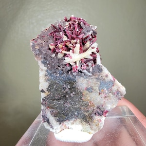 Erythrite on Quartz - Bou Azzer, Morocco - 4×3.5×2.5 cm