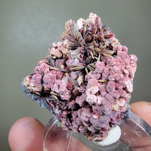 Erythrite - Bou Azzer, Morocco - 3.5×3×2 cm