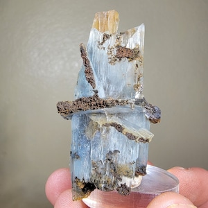 Peut inclure: Un amas de cristaux bleu et brun avec une formation en couches unique. Le cristal est présenté sur un support en acrylique transparent.