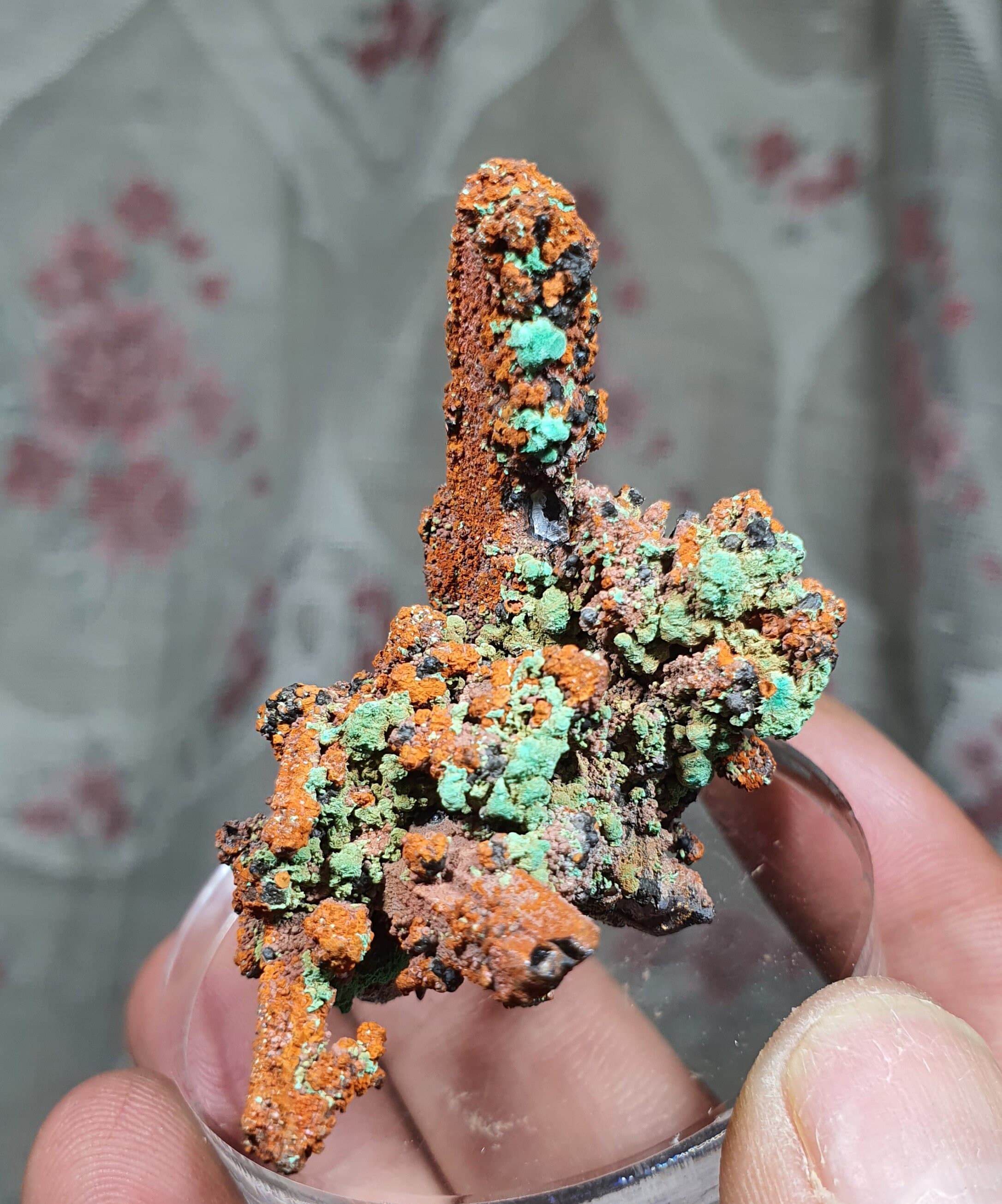 Gorgeous Malachite with Limonite on Quartz from Mecissi, Morocco