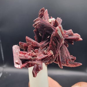 Erythrite Floater Crystals from Bou Azzer, Morocco - 3.3×3×2.5 cm