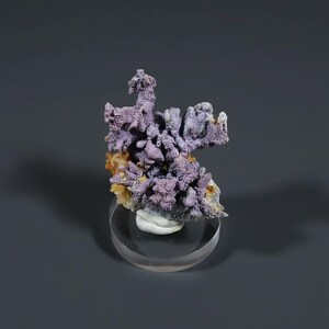 Natives Kupferwunder auf Matrix - Außergewöhnliches Mineralexemplar - 4,5 x 4 x 2 cm, Bounhas-Mine, Oumjrane, Marokko