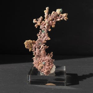 Inhemskt kopparprov | Bounhas Oumjrane Marocko mineral | Sällsynt naturlig kopparkristall | Samlarmineral | Naturlig metalldisplay