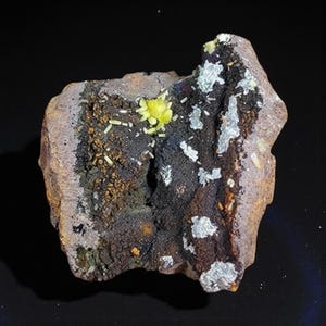 Pyromorphit-Edelstein - Außergewöhnliches Mineralexemplar - 5,5 x 5 x 3 cm, Moulay Bouazza, Khenifra, Marokko