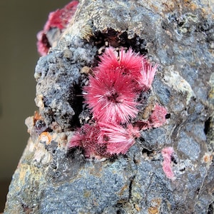Erythrite Flowers on Matrix - Bou Azzer, Morocco - 6×6×3 cm