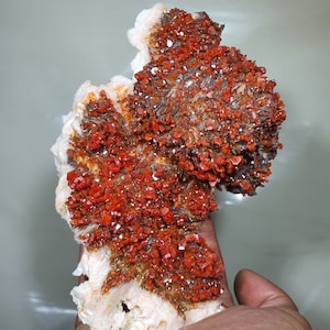 Impressive Vanadinite Crystals on Barite - Large 830g Specimen from Mibladen, Morocco