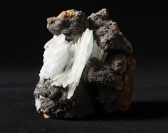 May include: A mineral specimen featuring a cluster of light blue, crystalline formations emerging from a dark gray, textured matrix. The crystals have a translucent quality, contrasting with the rough, earthy base. The overall composition is a natural, geological display.