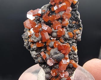 May include: A cluster of vibrant orange vanadinite crystals on a dark, textured matrix. The crystals are a rich, reddish-orange hue, with a cubic structure. The matrix is a dark gray color, with a rough, bumpy texture. Mineral specimen.