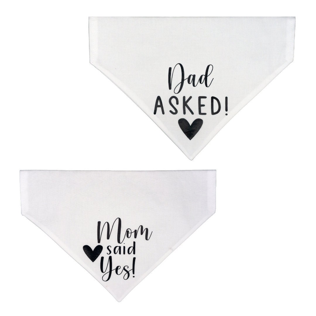 Dad Asked, Mom Said Yes - Engagement Bandanas | Over the Collar or Ti…