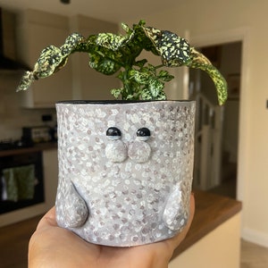 May include: A white ceramic planter with a speckled pattern and a cartoon face. The planter has black eyes and a smiling mouth. A green plant with white spots is growing in the planter.