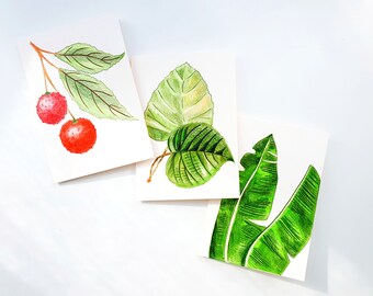 Handdrawn Fruit and Veggie Art Veggie Cards Pack of 3 Handmade Greeting Cards Blank Card Set of Three Card for Teacher Blank Inside