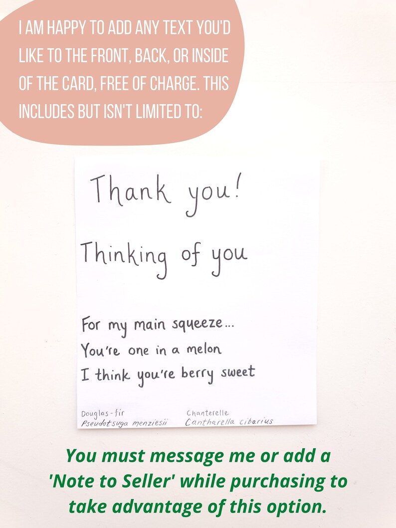 Handdrawn Fruit and Veggie Art Veggie Cards Pack of 3 Handmade Greeting Cards Blank Card Set of Three Card for Teacher Blank Inside