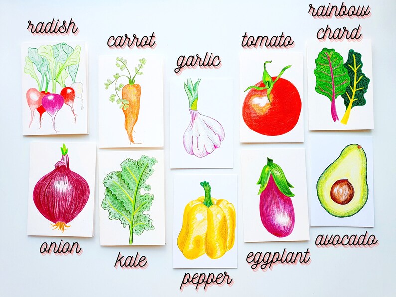 Handdrawn Fruit and Veggie Art Veggie Cards Pack of 3 Handmade Greeting Cards Blank Card Set of Three Card for Teacher Blank Inside