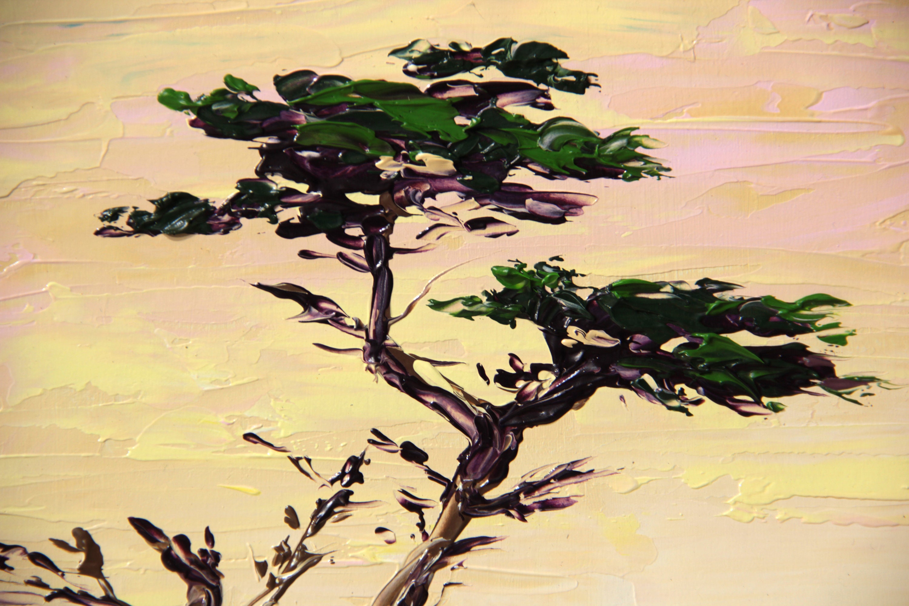 Monterey Cypress Tree Painting Original Artwork Cypress Tree Etsy