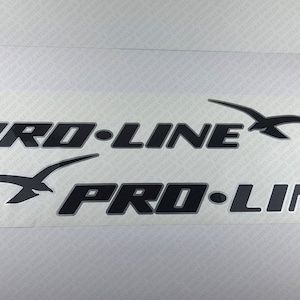 Set di 2 adesivi con logo Pro Line Boat in argento da 40"