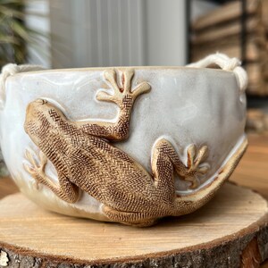 Hanging planter with lizard, macrame, Handmade ceramic planter, Unique pots, Succulent planter pot, ceramic pot for plants image 2