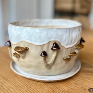 Peut inclure: Un pot de fleurs en céramique avec sa soucoupe assortie, présentant une base beige texturée ornée de sculptures de champignons marron en relief et un émail blanc brillant coulant sur le bord supérieur, créant un aspect superposé.