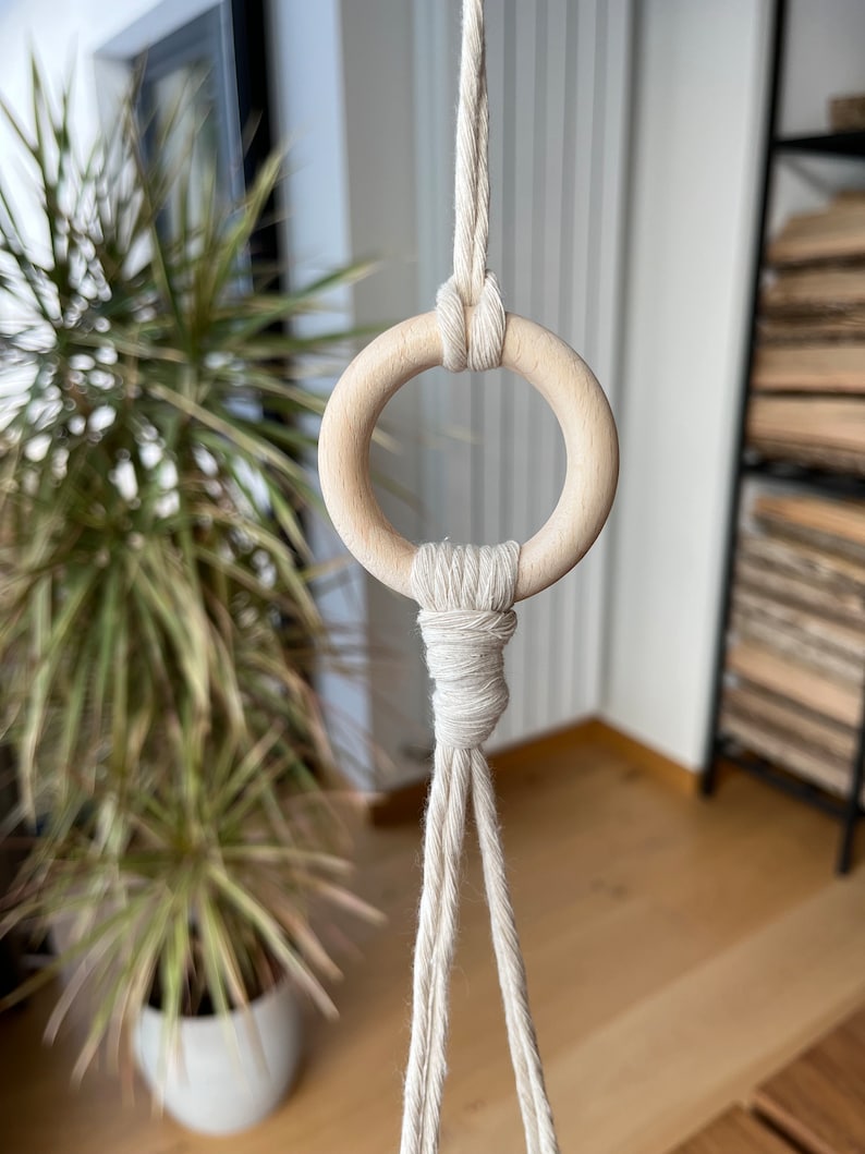 Hanging planter with lizard, macrame, Handmade ceramic planter, Unique pots, Succulent planter pot, ceramic pot for plants image 8