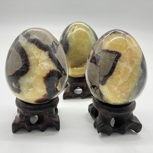 Natural dragon septarian egg quartz crystal egg healing +stand random 1pc