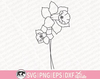 May include: A black and white line art illustration of two daffodils with stems and leaves.