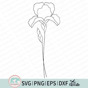Geburtsmonat Blumen Dekor, Iris Dekor, Iris Dekor, Iris Dekor, Iris Clipart, Iris Dekor, Wildblumen Dekor, Botanische Illustration