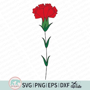 Oeillet Svg, Svg fleur le mois de naissance, oeillet fleur, Svg anniversaire janvier, Clipart fleur de naissance, fleurs sauvages, Svg fleurs en couches