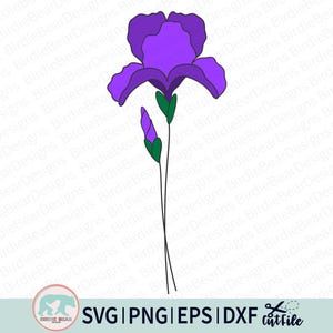 May include: A digital illustration of a purple iris flower with green accents and a bud. The flower has detailed petals and is set against a white background. The image includes the text "SVG | PNG | EPS | DXF cutfile".
