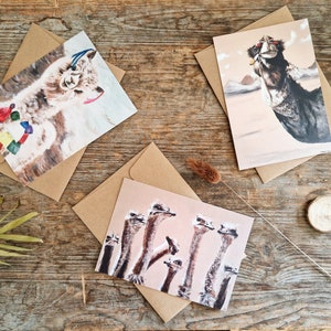 Cartes de vœux d'animaux à partir de peintures originales