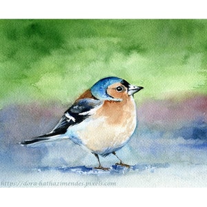 Original Chaffinch Painting, Bird Paintings, Handmade Watercolor, Bird Art, Bird Artwork, Little birds, Watercolor Birds, Little Bird Art