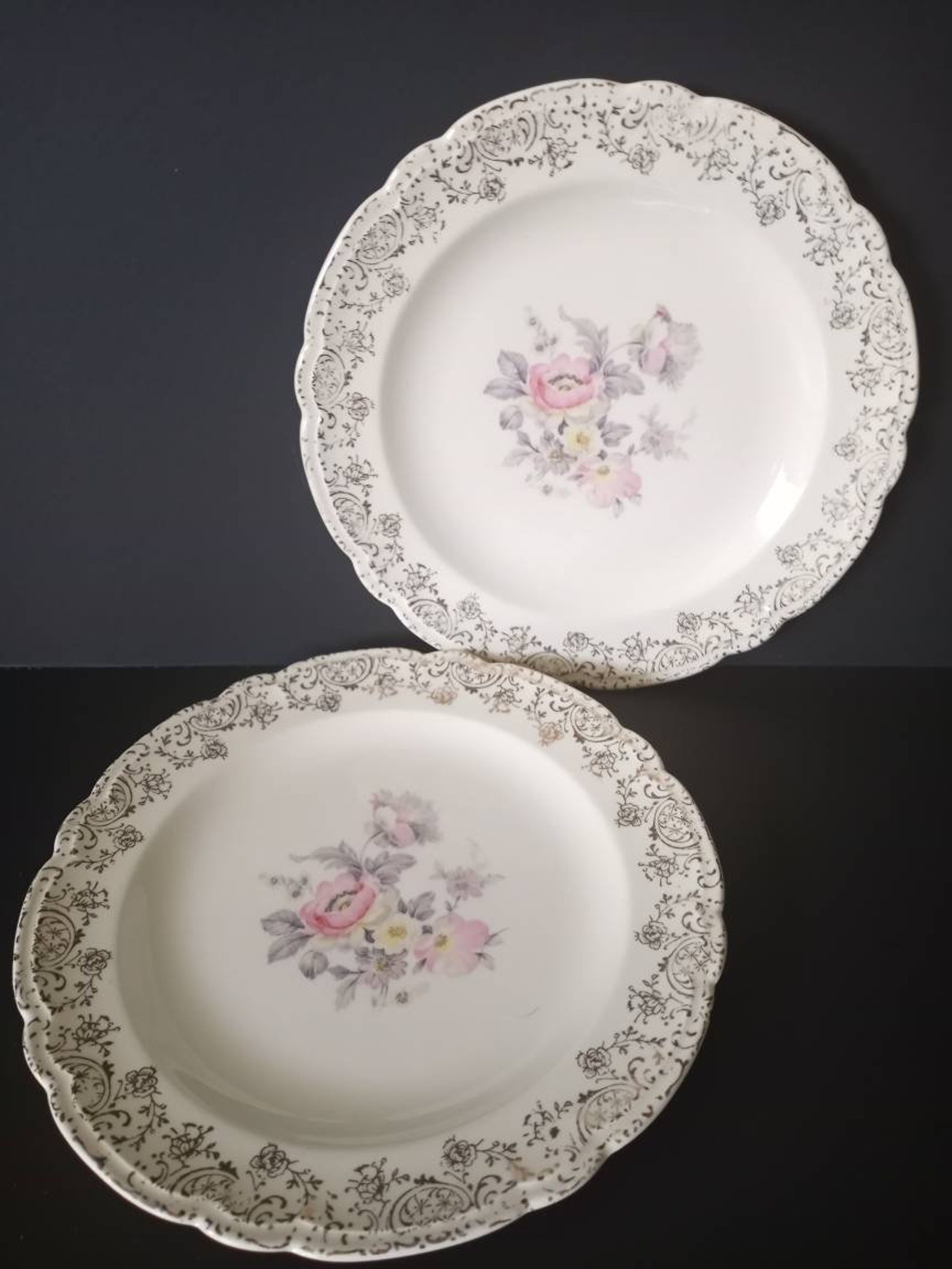 The French Saxon China Co Plate Etsy