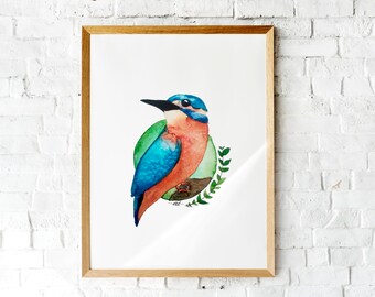 Print Kingfisher - Birds Collection