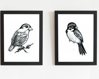 Prints Bird Collection