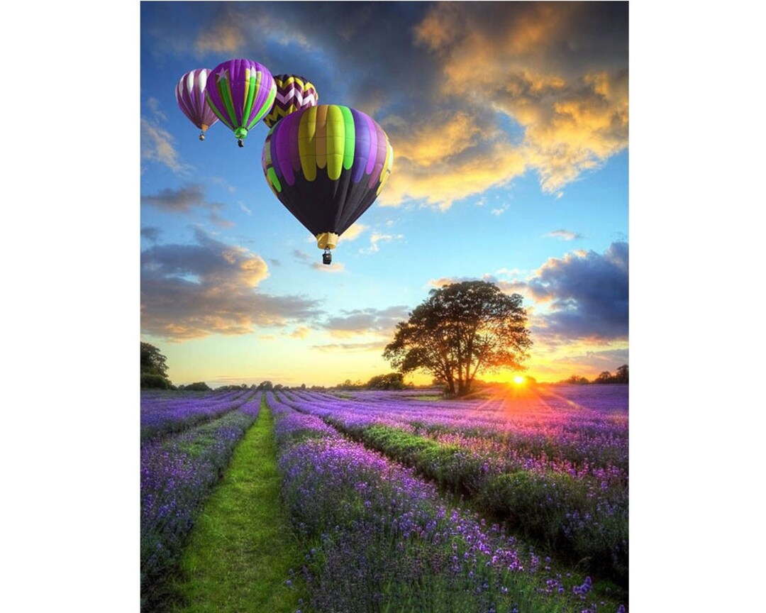 DIY Paint by Numbers Hot Air Balloons Over Purple Lavender Fields on Canvas Etsy