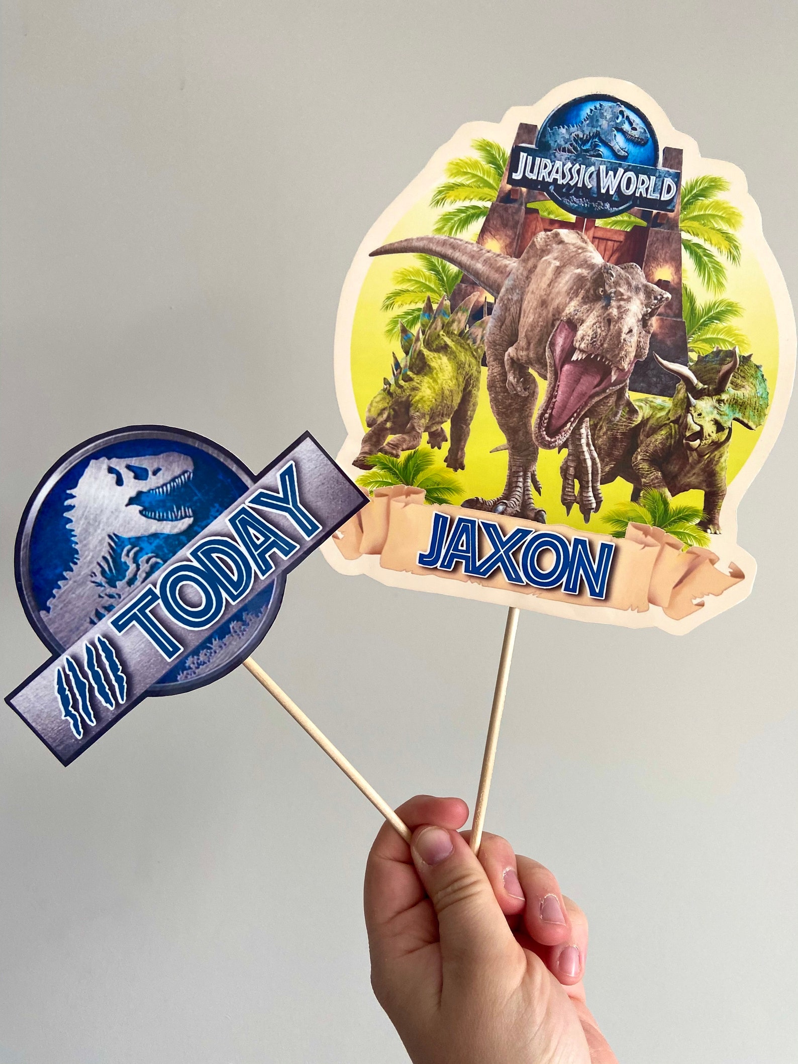 Jurassic World Theme Personalised Birthday Cake Topper Set Etsy