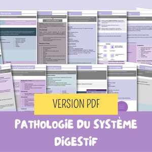 PDF Fiches d'étude du système digestif soins infirmiers, étude infirmière, sciences infirmières, ifsi, guide d'étude image 1